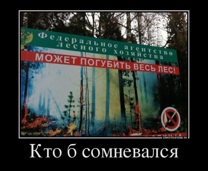 Демотиваторы (57 фото)