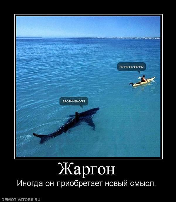 Демотиваторы (57 фото)