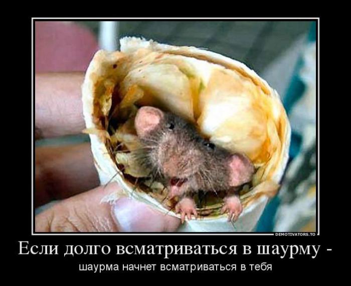 Демотиваторы (57 фото)