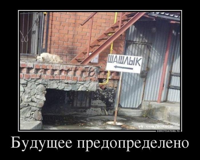 Демотиваторы (57 фото)