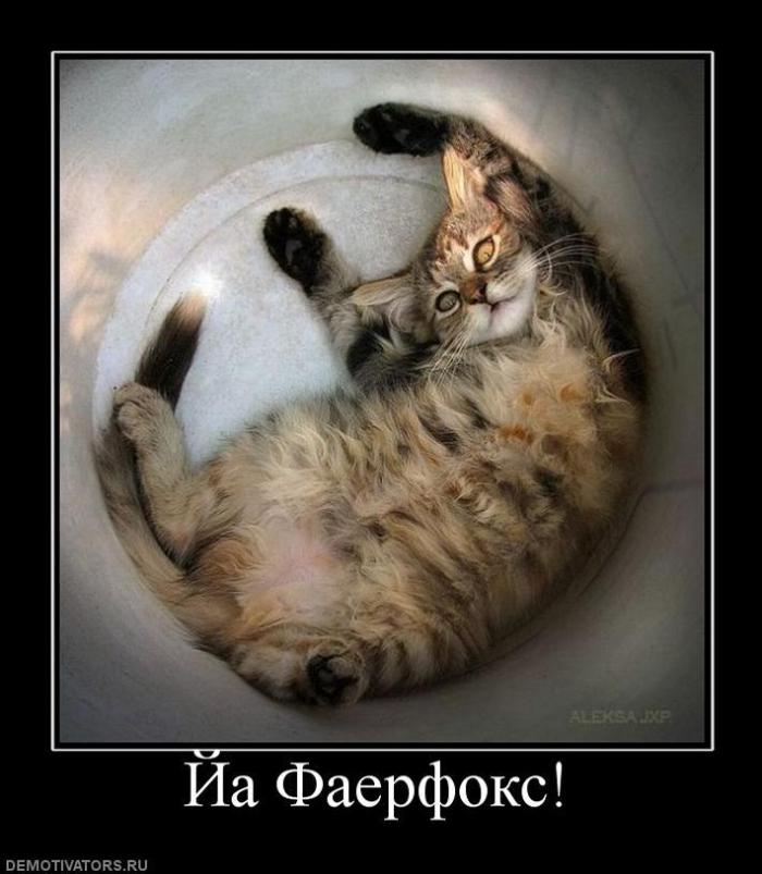 Демотиваторы (57 фото)