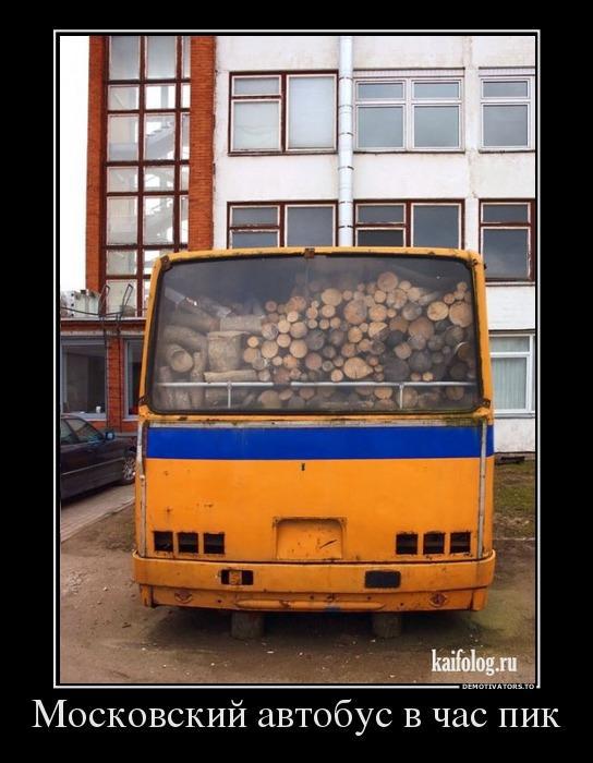 Демотиваторы (57 фото)