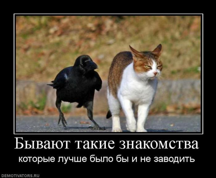 Демотиваторы (57 фото)