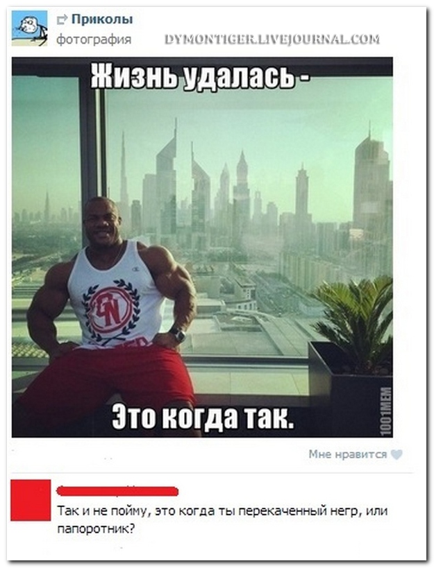 Смешные комментарии из социальных сетей (29 фото)