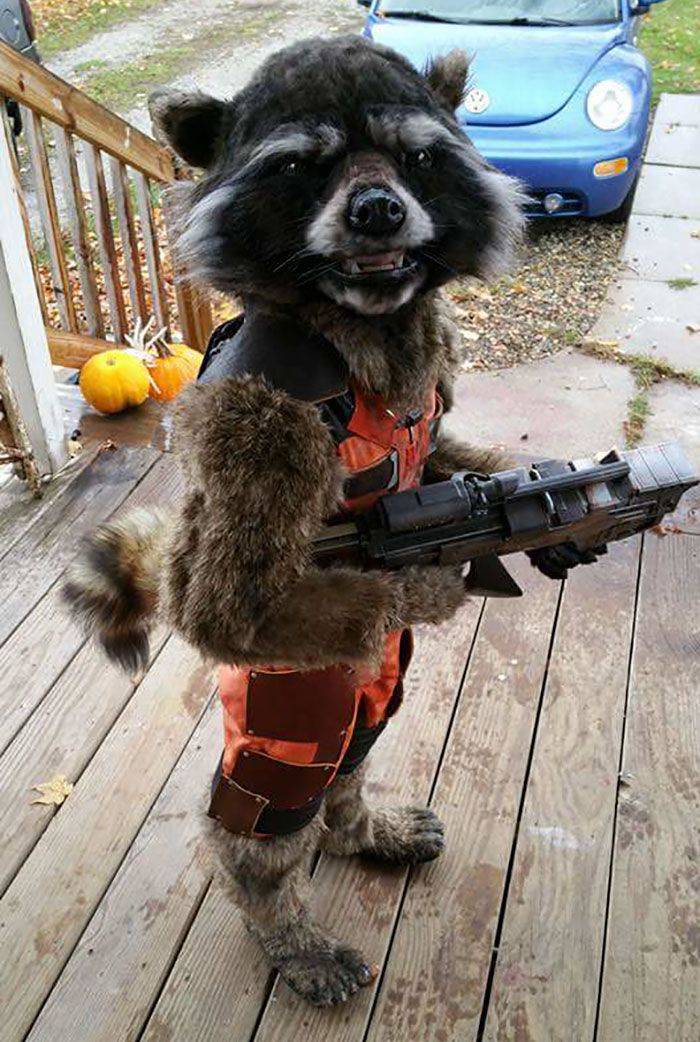 Удивительные костюмы на Хэллоуин