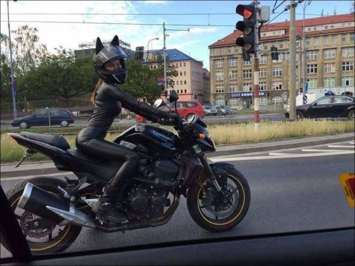 Прикольные картинки