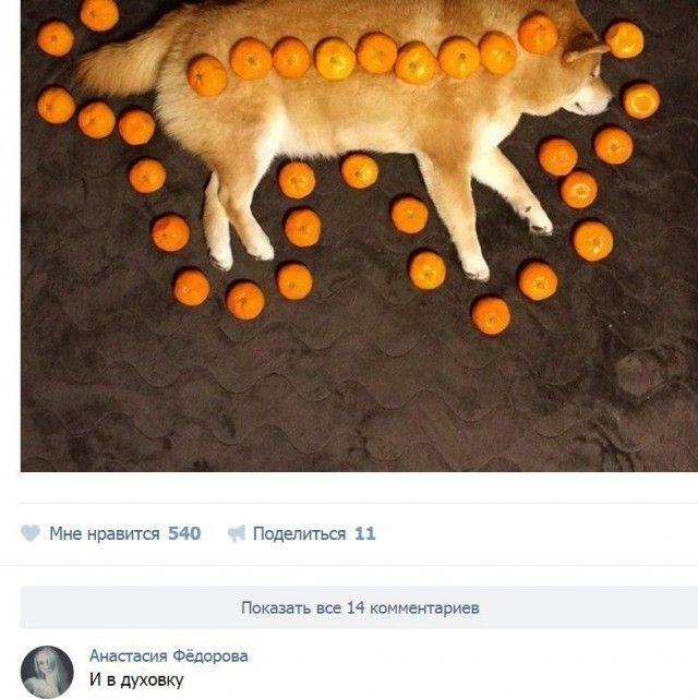 Прикольные комментарии с просторов соцсетей