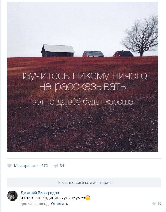 Прикольные комментарии с просторов соцсетей