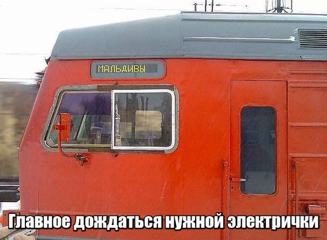 Прикольные картинки