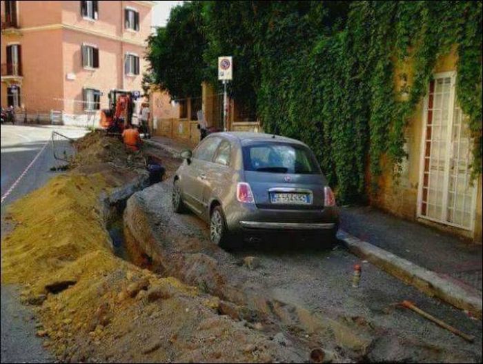 Прикольные картинки