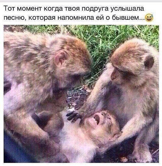 Прикольные картинки