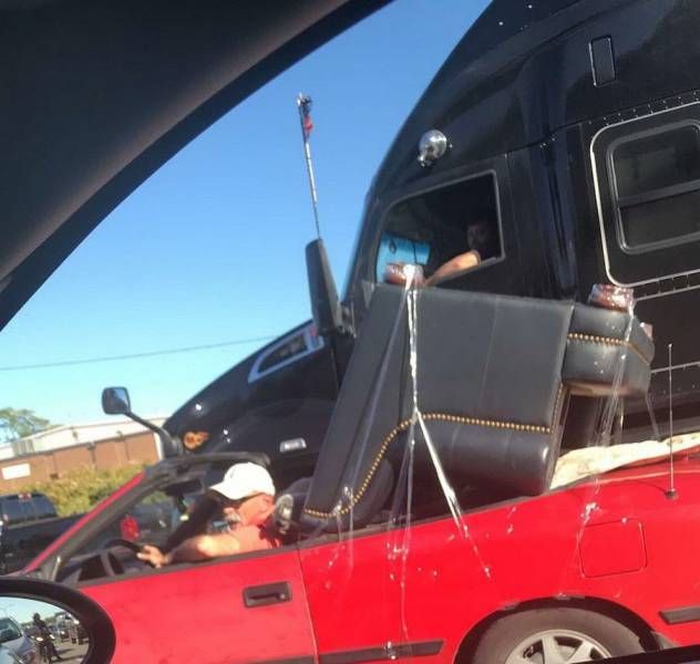 Прикольные картинки