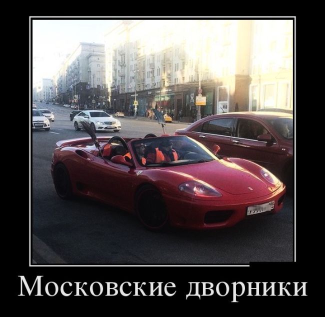 Демотиваторы