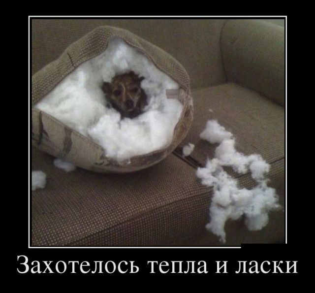 Демотиваторы