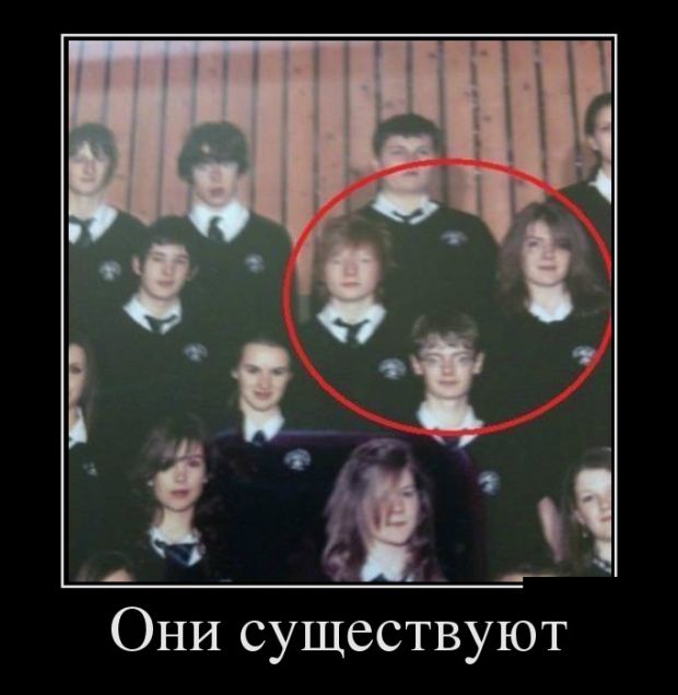Демотиваторы