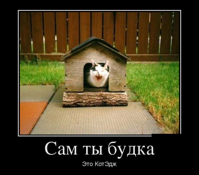 Демотиваторы