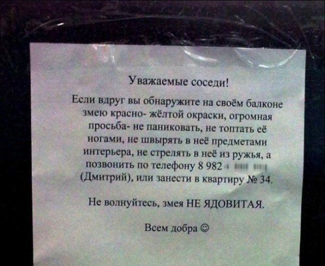 Забавные объявления