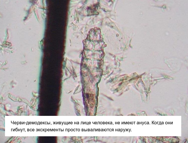Неприятные факты, которые пополнят ваши знания