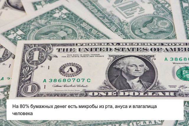 Неприятные факты, которые пополнят ваши знания