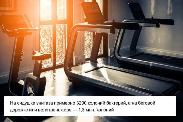 Неприятные факты, которые пополнят ваши знания