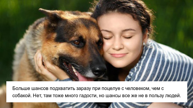 Неприятные факты, которые пополнят ваши знания