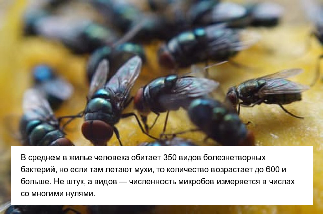 Неприятные факты, которые пополнят ваши знания