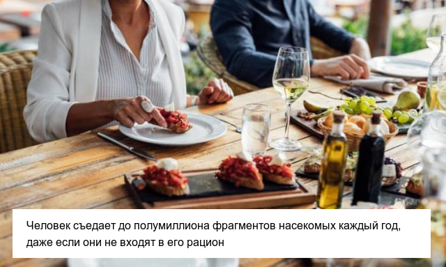 Неприятные факты, которые пополнят ваши знания