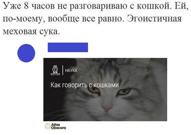 Смешные комментарии из социальных сетей
