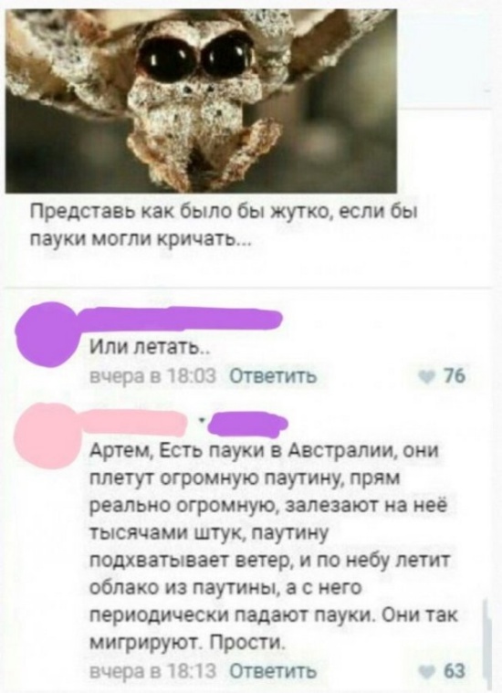Нестандартный юмор с просторов сети