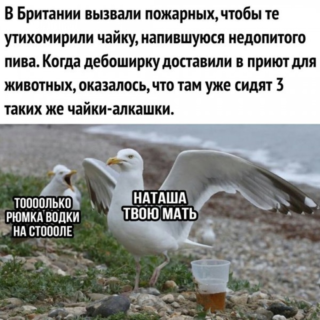 Нестандартный юмор с просторов сети