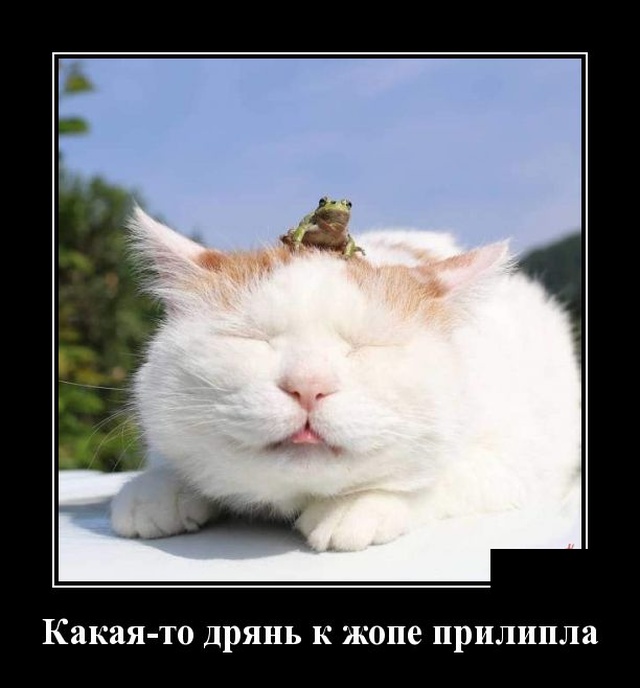 Демотиваторы