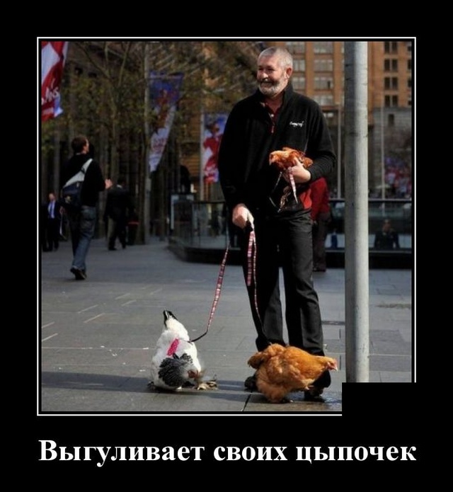 Демотиваторы