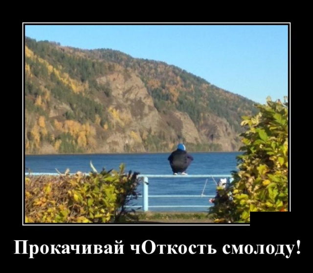 Демотиваторы