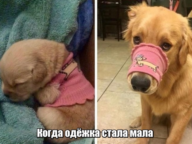 Прикольные картинки