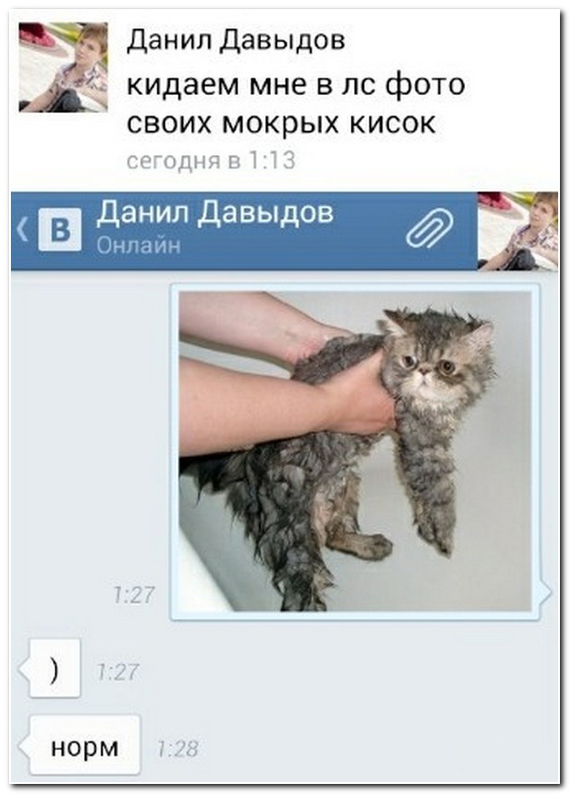 Смешные комментарии из социальных сетей