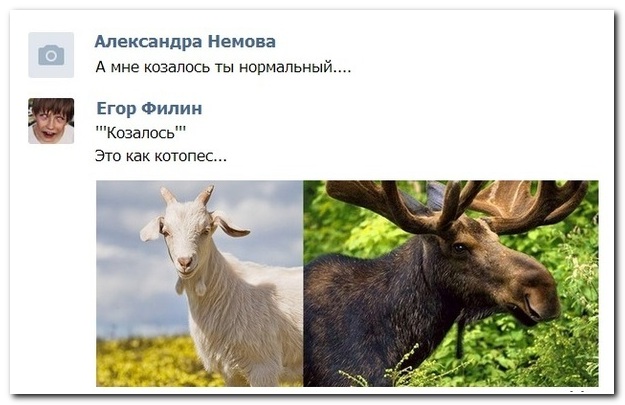 Смешные комментарии из социальных сетей
