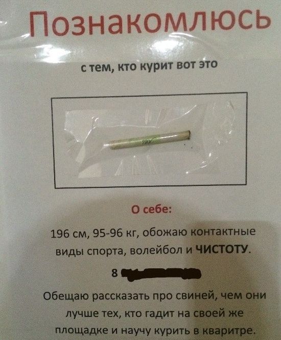 Порция картинок