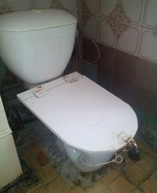 Порция картинок