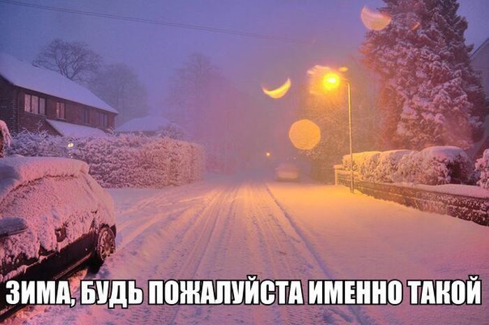 Порция картинок