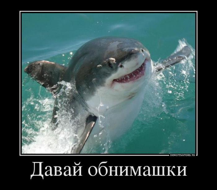Демотиваторы (57 фото)