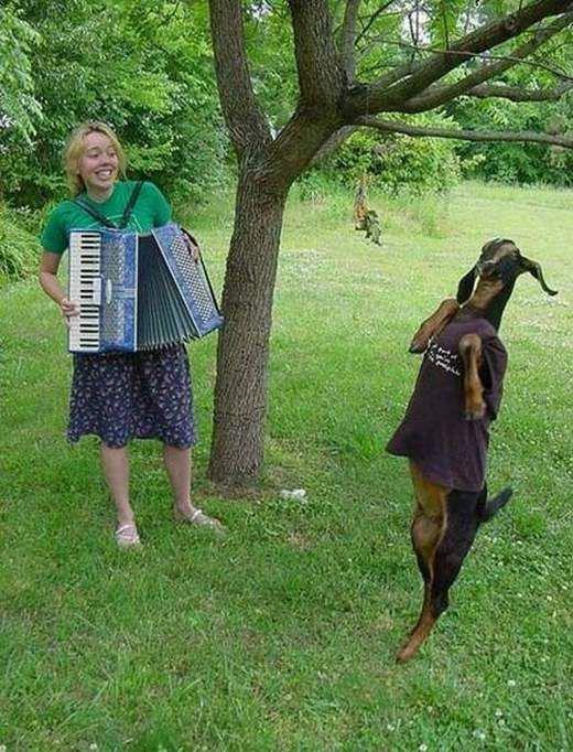 Прикольные картинки