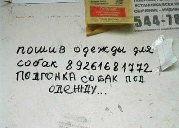 Прикольные картинки