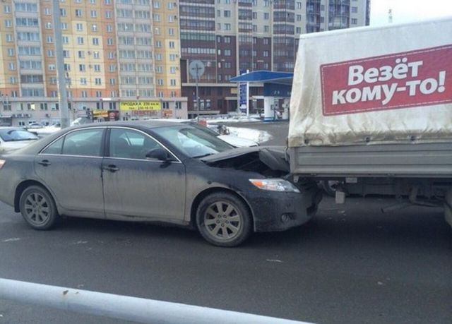 Прикольные картинки (81 фото)