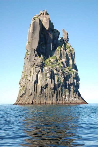 Прикольные картинки (81 фото)