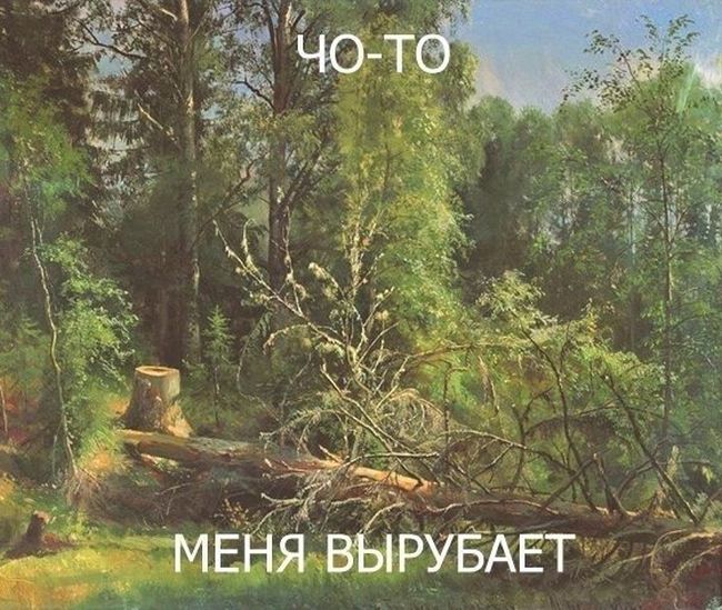 Порция картинок