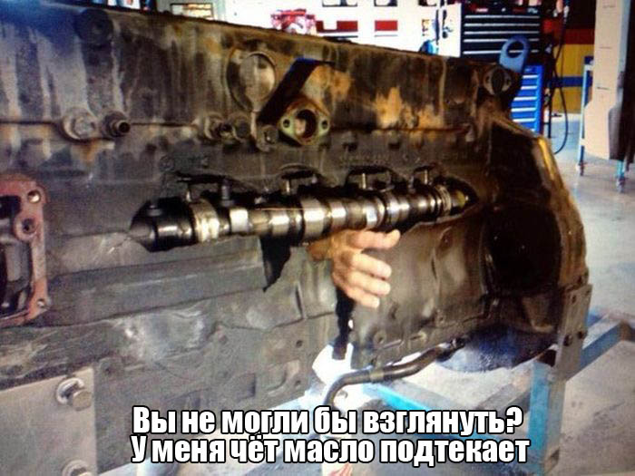 Порция картинок