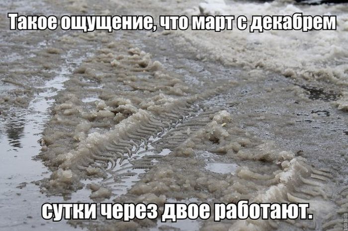 Порция картинок