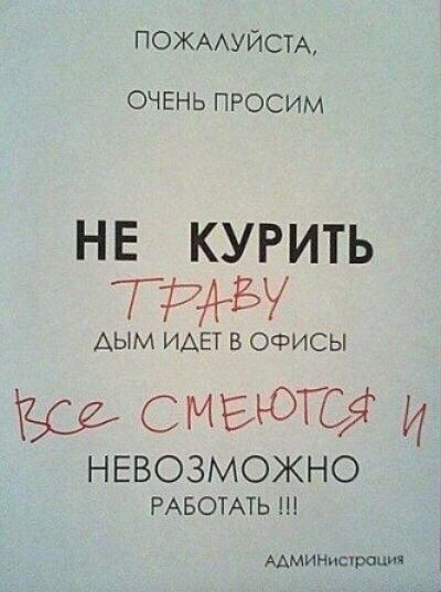 Порция картинок