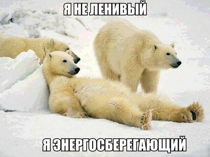 Порция картинок
