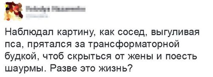 Порция картинок